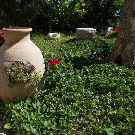 Grandi Trulli Bed & Breakfast Alberobello Exterior photo